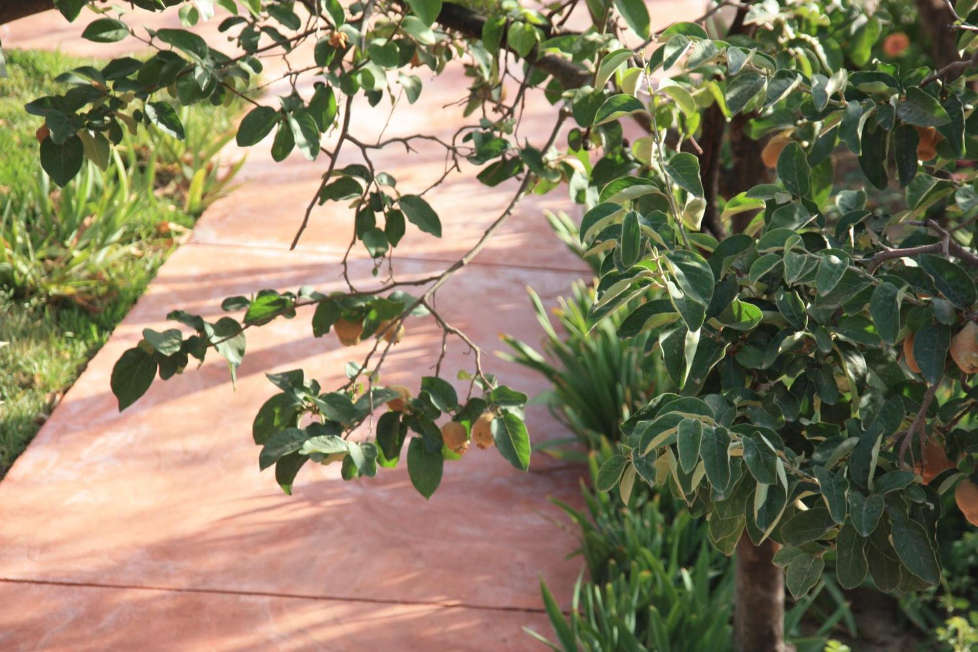 Villa Quince ويرڭان المظهر الخارجي الصورة